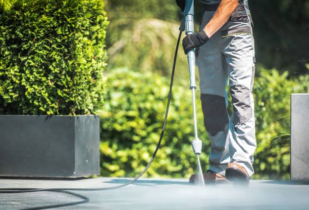 Best Driveway Cleaning and Restoration in Roberta, GA